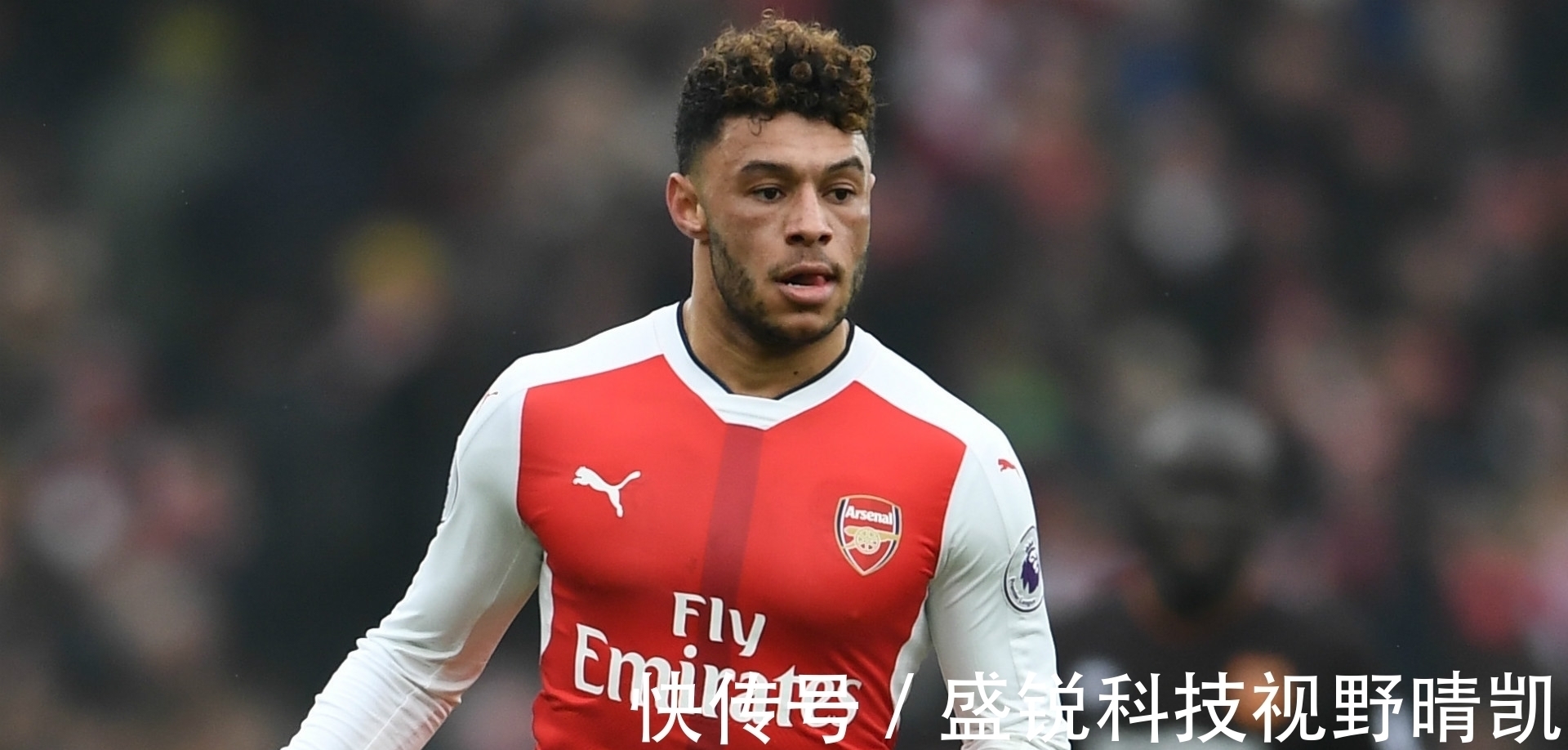 枪手|阿森纳十大最贵转出交易:荷兰传奇霸榜21年 枪手卖人真心白菜价
