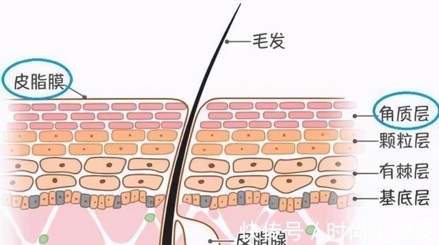 小建议 给大家的50条护肤小建议：不整容，也可以变美的方式！