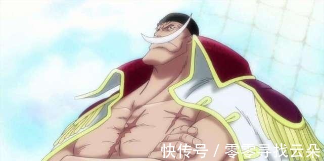 艾斯|《海贼王》顶上战争时白胡子为何只集结自己的势力，去攻打海军总部呢