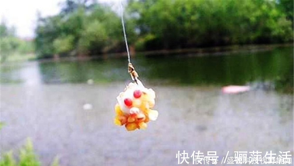 饵料|夏季钓鲫鱼，这些清淡饵料有奇效，避开闹窝小鱼，直取大鲫鱼！