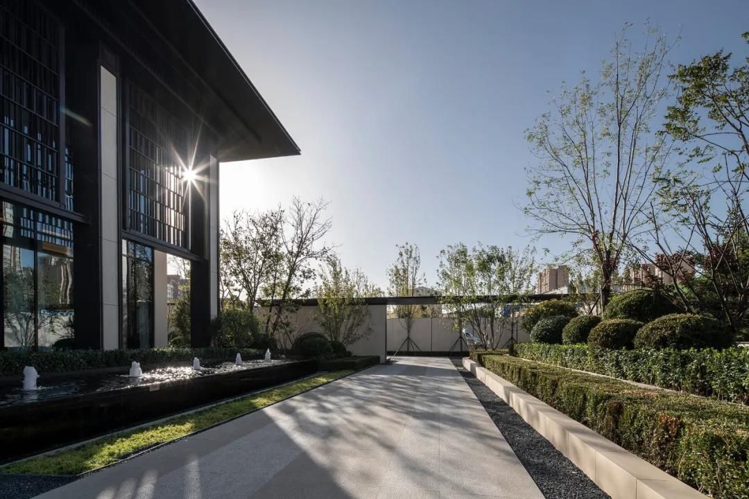  肖杰：海阔凭鱼跃，天高任鸟飞|鸿人志 | 肖杰