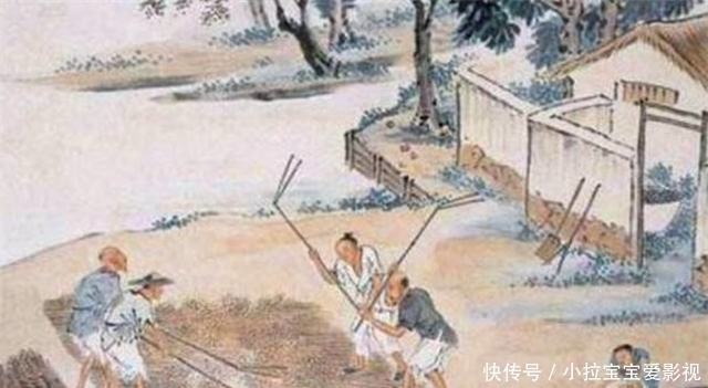 茶叶|小茶叶也能加工成大美学,清朝“茶叶之美”为何能盛行?