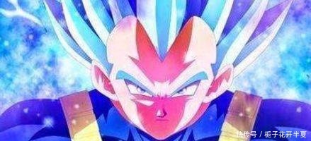 战士|龙珠战士们将来变强的不同方向,贝吉塔的强化重点最为明确!
