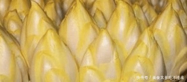 养花不如养这种“蔬菜”, 价值70元一斤, 家里养一盆, 好看更好!