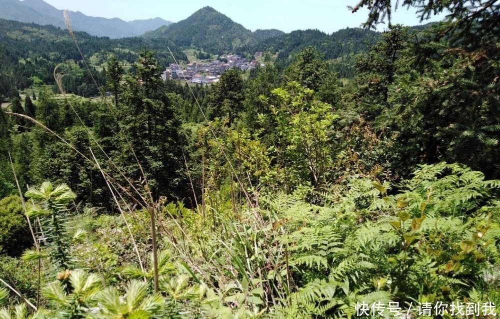 形峦堪舆知识,五星峰具体特征分析