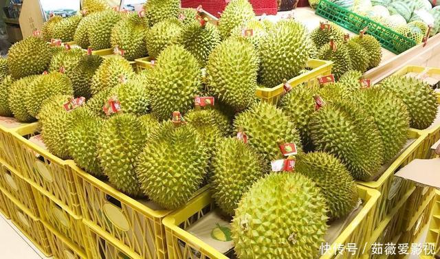 榴莲树一年可结400多个果,为什么卖那么贵原因其实很简单