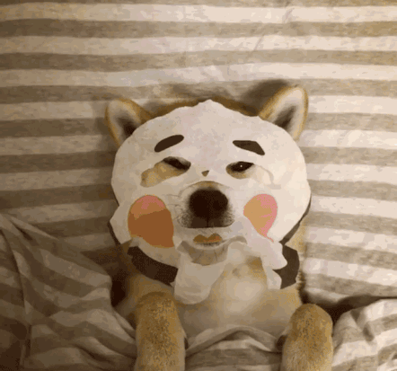 姐妹们|一套护肤品用一整年?脸:你礼貌吗?