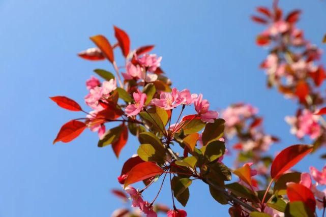 大美伍底下，赏花正当时！快带你爱的人来这里赏万亩花海！