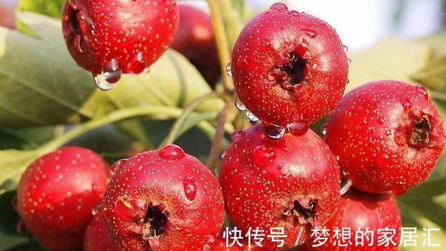 小肚子|山楂配核桃，女性朋友经常吃，小肚子消失了，头发更加乌黑浓密