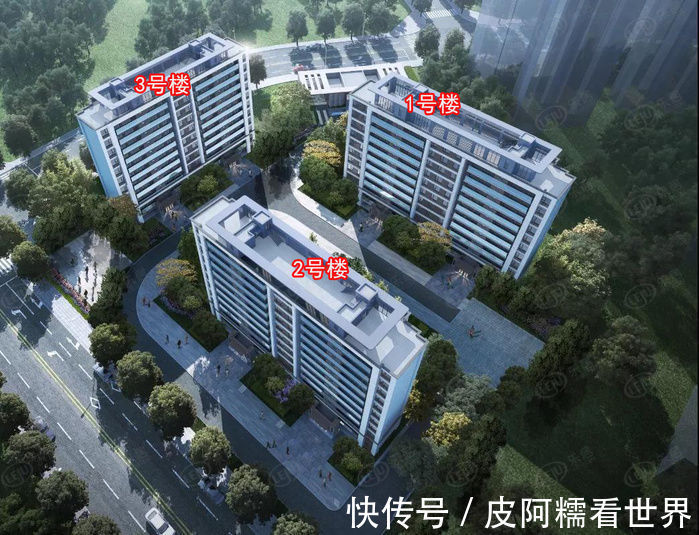 楼盘|黄金周探盘武侯新城楼盘扎堆 刚需改善均有选择