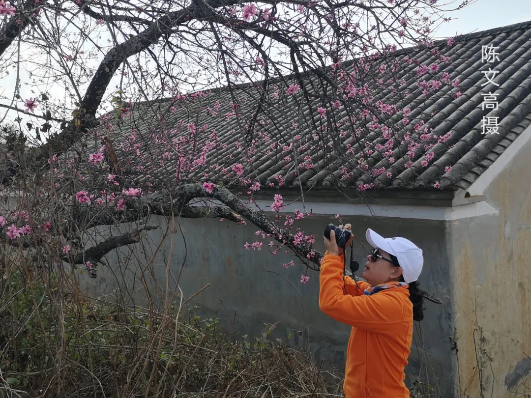 看一看|春风吹得百花艳，拍花归来镜头香ll奇美东川