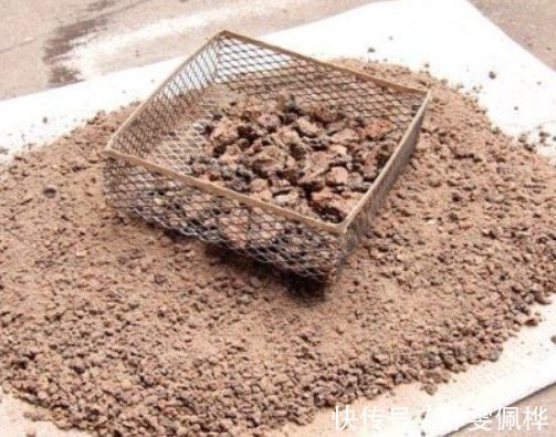 养花别再买营养土,盆里掺1把“废料”,土壤疏松透气,花开不停