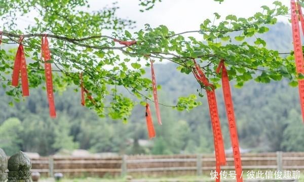 这个寺庙太宁静了，宜春本地人都应该来看一下