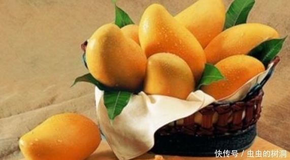 异芒果醇酸|芒果季,老人吃芒果好不好?