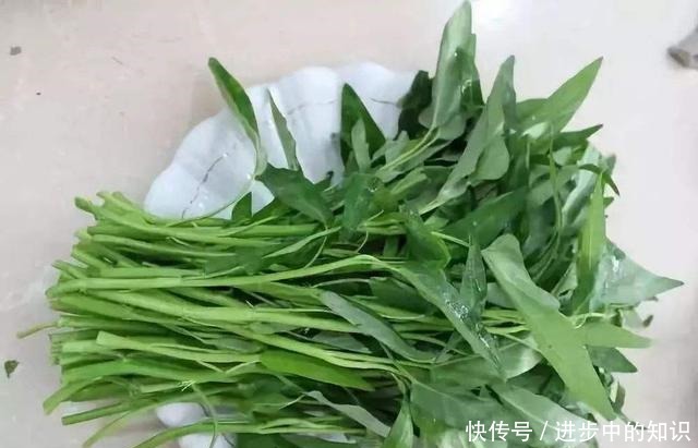  盆栽空心菜最简单的方法，1节枝插1棵，成片长摘不完