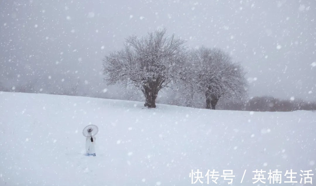 西洲|诗词鉴赏丨中国最美的十大名诗,一生至少要读一次