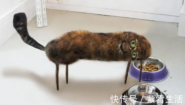 花式秀!儿子画成什么样,爸爸就能P成什么样子,花式秀父爱坐拥百万粉丝