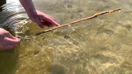 夏天,碰到此肉别手软,一次性囤30斤,放冰箱冻起来,特省事