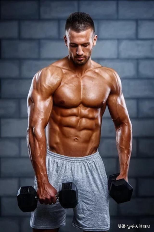 腹部|腹肌撕裂者训练，健腹轮的5种方式，虐出马甲线，练成巧克力腹肌