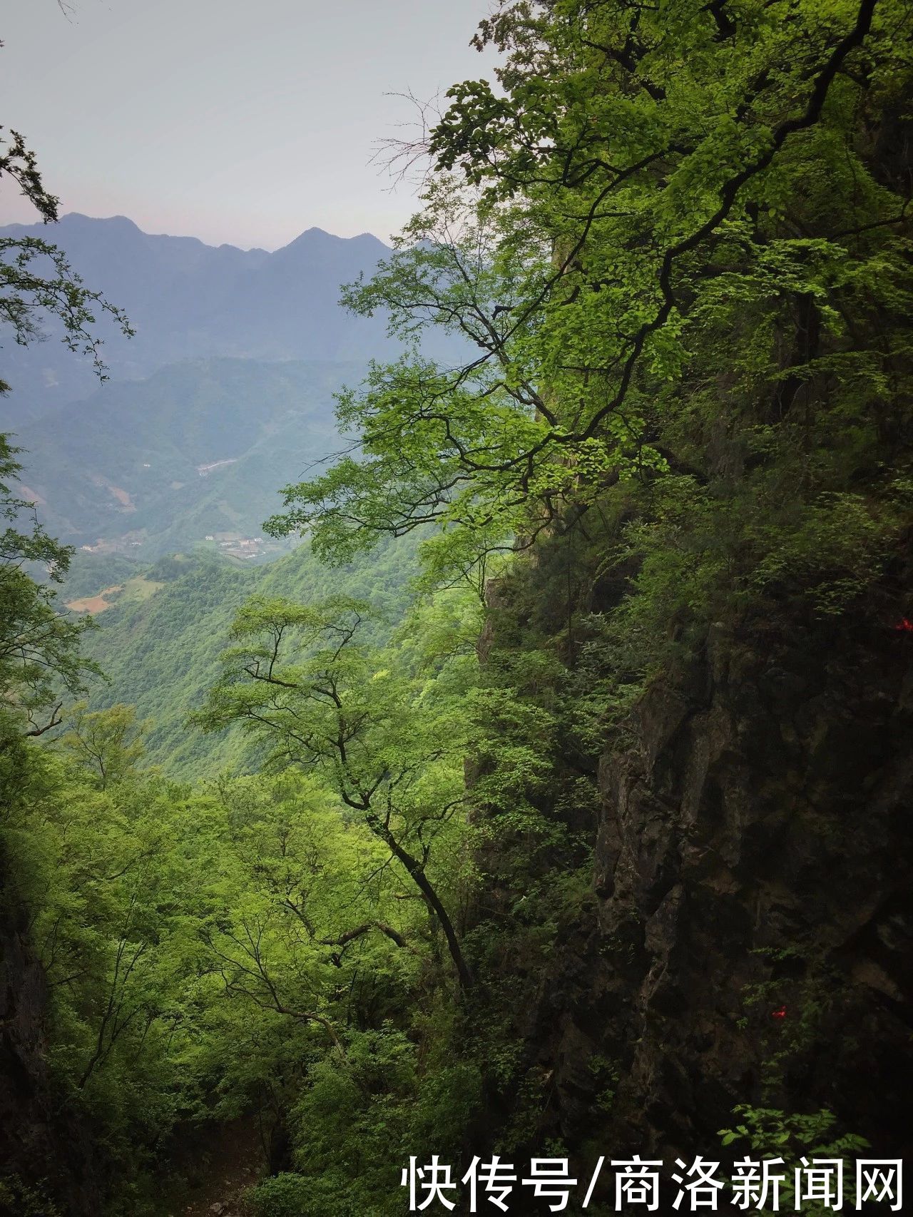 塔云山|塔云山——山顶上的温柔云海