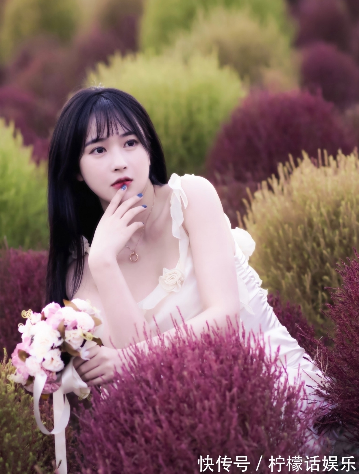 吟怀!诗·十二首丨人近丛林惊鹊鸟,菊斟满盏煮诗心