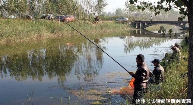 鱼饵中加入这玩意儿,冬天野钓鲫鲤有奇效