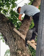 |搞笑GIF:当时我也很绝望 是她非得带我出去玩