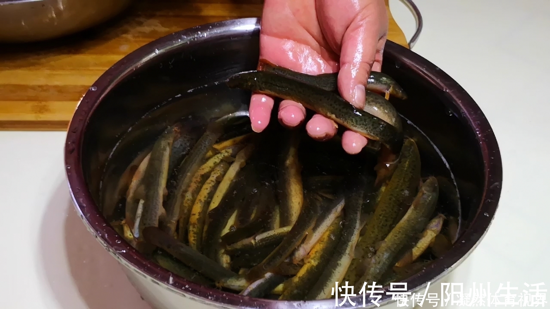 内脏|吃泥鳅到底要不要去内脏很多人不懂，看完终于明白了