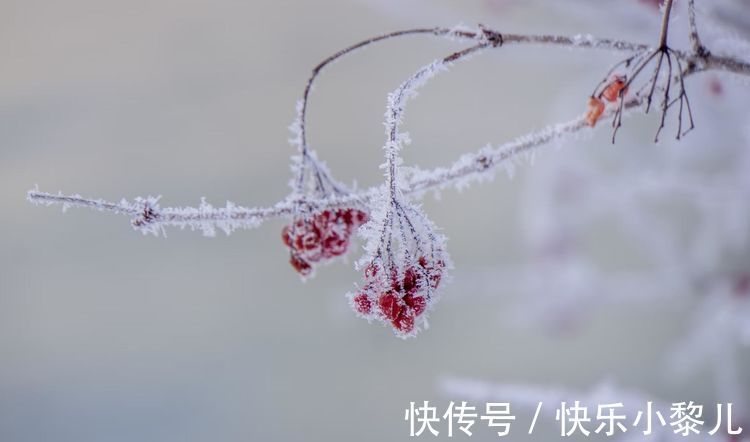 水瓶座|适应能力很强，随机应变的星座，习惯了独立，也喜欢凡事靠自己