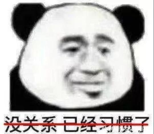 脑容量|你相信“一孕傻三年”吗研究发现怀孕会改变大脑,做女人真难