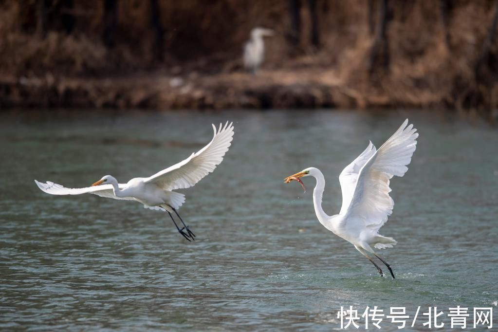 詹彦|“华北水塔”兴水记