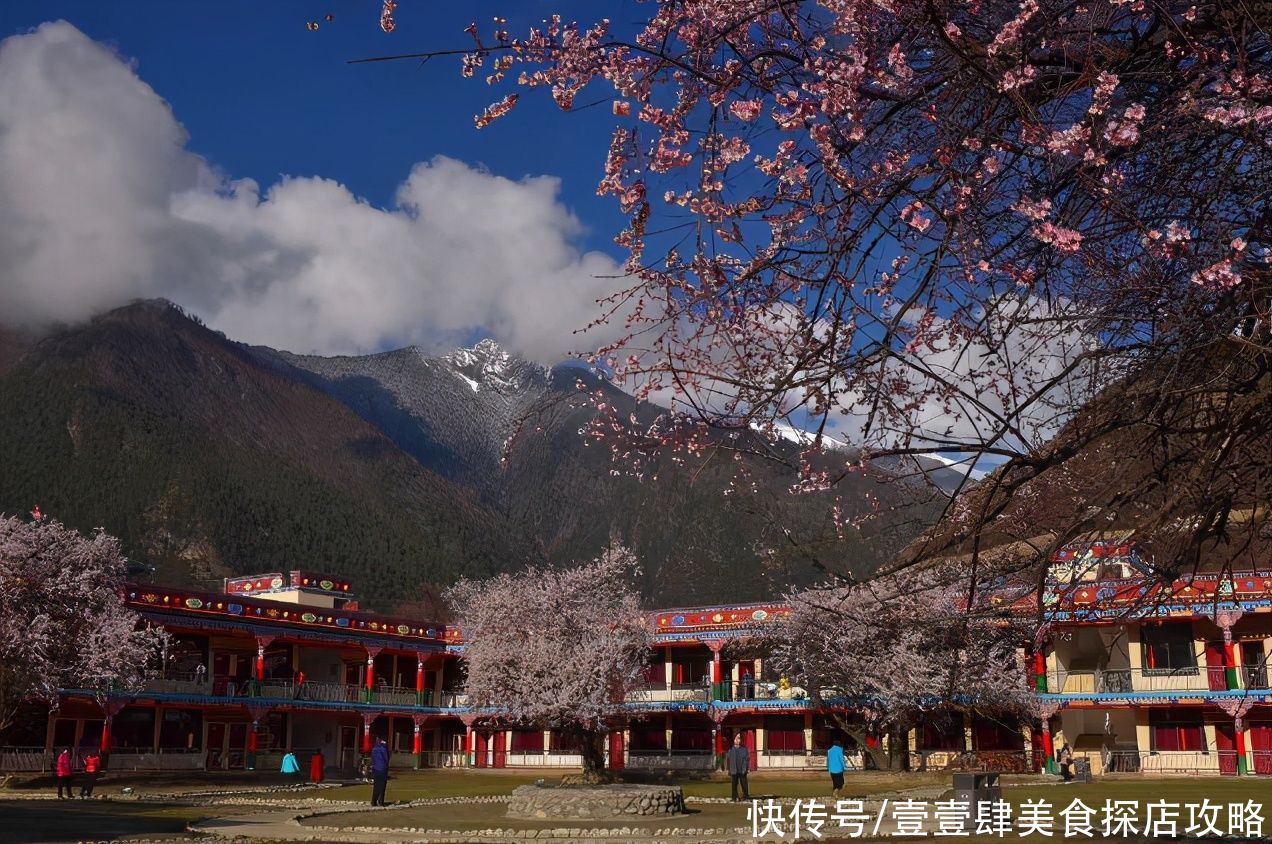 雅鲁藏布大峡谷|藏在雅鲁藏布雪域樱花美景，完爆云南无量山，十里水上画廊多闪烁