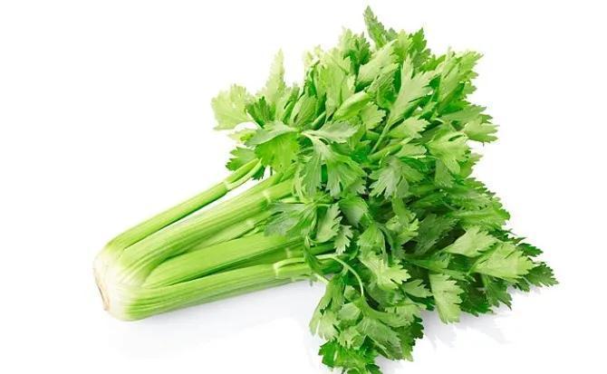 蔬菜|中老年骨质疏松要补钙，这五种蔬菜是补钙佳品，又便宜还管用