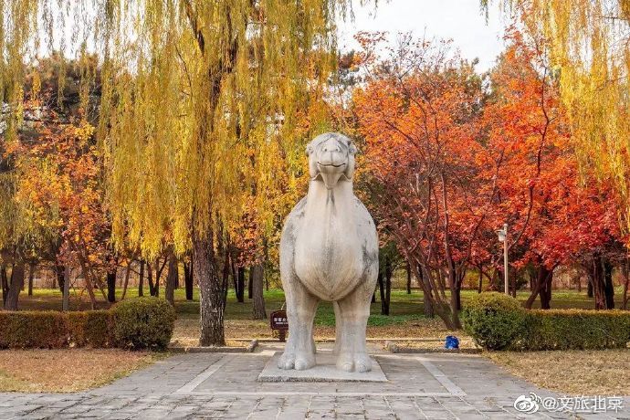  昌平|昌平最后一波高颜值秋色还不抓紧收割？现在去还不晚！