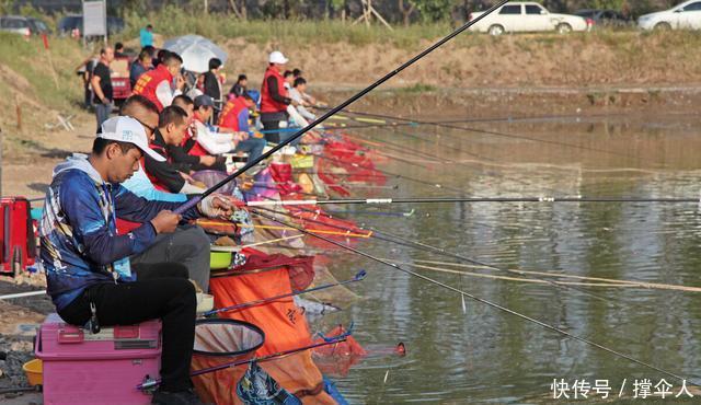 垂钓的钓竿|野钓,黑坑和竞技钓竿的核心在于垂钓特性---皇禾钓具