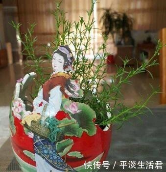 这些破烂不要扔,做成“小花盆”,个性又漂亮,比买的强“百倍”!