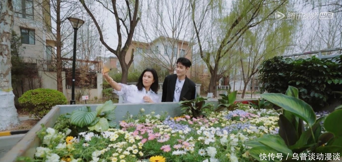 真人秀 《五十公里桃花坞》抓马不断,苏芒人设翻车,节目组被骂上热搜!