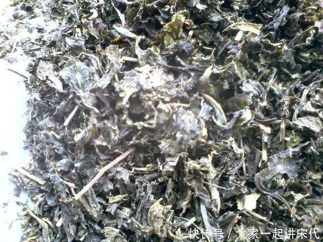 肥料|喝完的“茶叶”倒了真可惜，这么简单1处理，养花肥效足