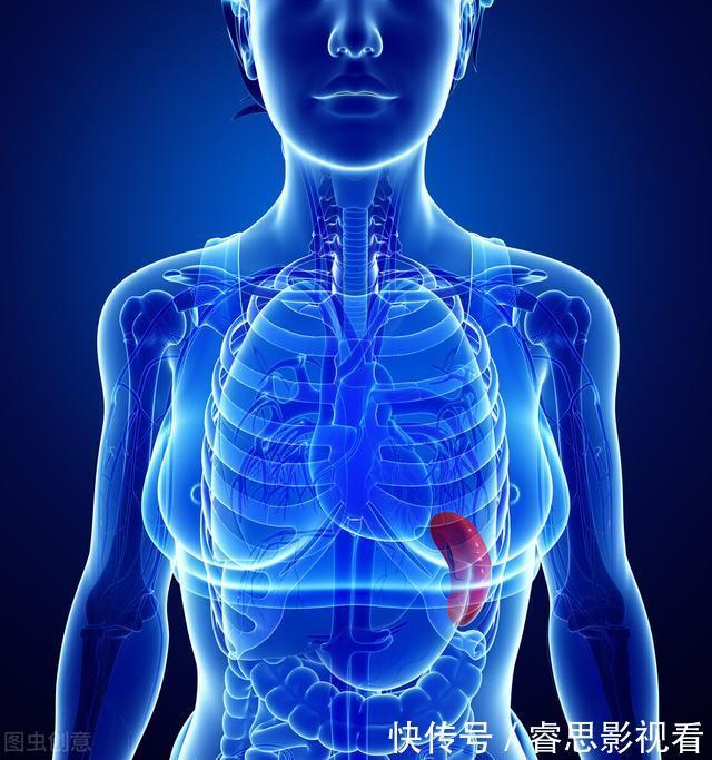 所致|心对舌，肝对目，脾对口，肺对鼻，肾对耳，啥最养五脏？全告诉你