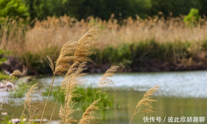 行游太行秘境 领略冀地风光