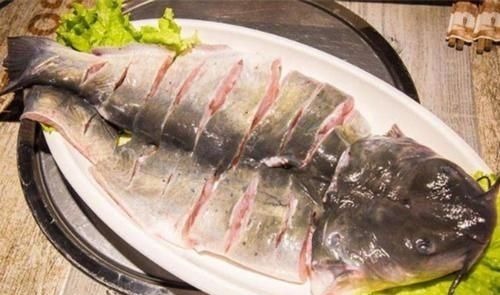 鱼肉|吃鱼不利于身体健康?建议:4种鱼肉尽量少吃,或会适得其反