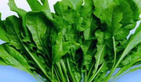 女性想要“小蠻腰”，就要常吃4種食物，排出毒素，滋陰降火！