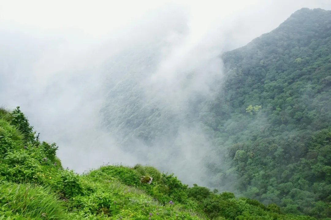 端午节|最适合端午节去的8个旅行地，人少景美，第一个就想出发。