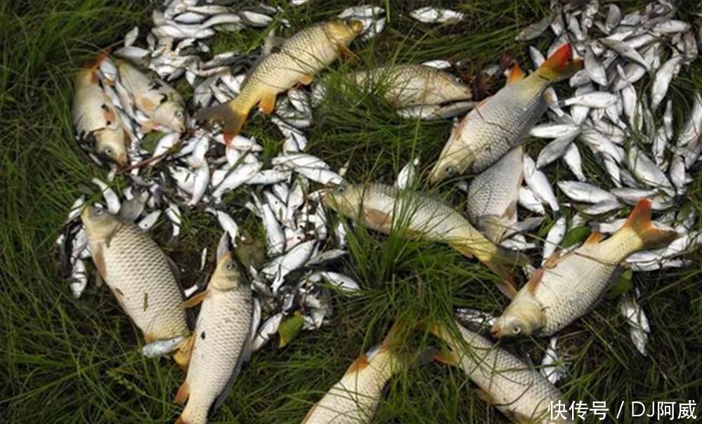 晚春钓鱼的秘诀，做到四钓四不钓，大鱼小鱼都能钓