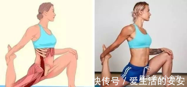 肌肉|终于找到了,这套全身拉筋3D图解,打通全身经络,太难得了