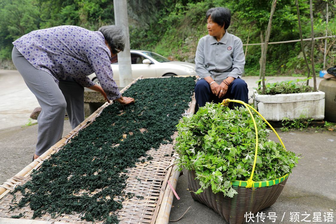 地带|宁波和台州交界地带，层层叠叠的梯田，美得令人震撼