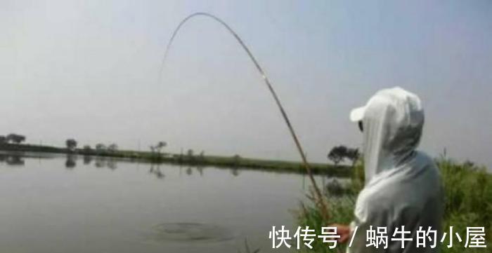 鱼类|野钓鲤鱼要注意什么