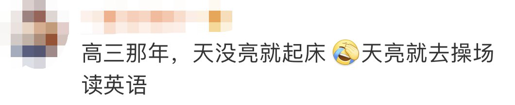 扎堆|他们扎堆的样子，像极了曾经的你