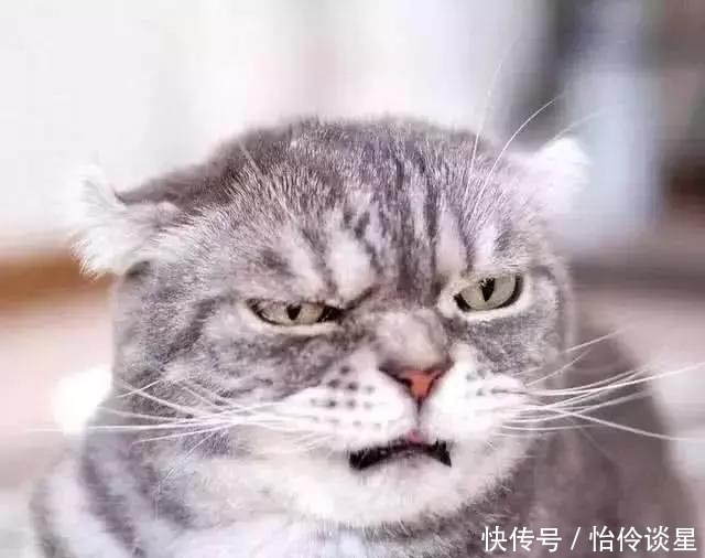 三本|三本越看越想看的网络小说,一不小心就看到大半夜,停不下来