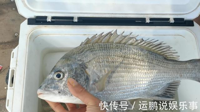 禁忌|钓鱼人如果有罪，我一定是罪不可赦，犯了钓鱼人最大的禁忌